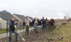 Plantations Cavalier   025